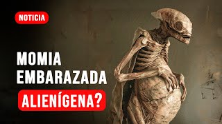 🔴¡NO LO PODRÁS CREER! Descubierta Momia Alienígena EMBARAZADA en Nazca ⚠️ ¿FRAUDE ?⚠️