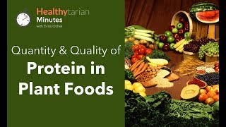 Quality & Quantity of Protein in Plant Foods (Healthytarian Minutes ep. 45) by Healthytarian with Evita Ochel 7,281 views 6 years ago 3 minutes, 9 seconds