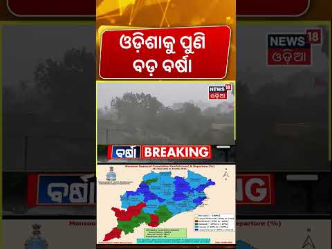 ପୁଣି ଆସୁଛି ବଡ଼ ବର୍ଷା | Odisha Monsoon Update: 1006.5 MM Rainfall Recorded Till August 19 | Odia News