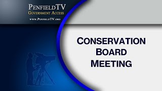 2020: June 02 | Conservation Board Meeting screenshot 5