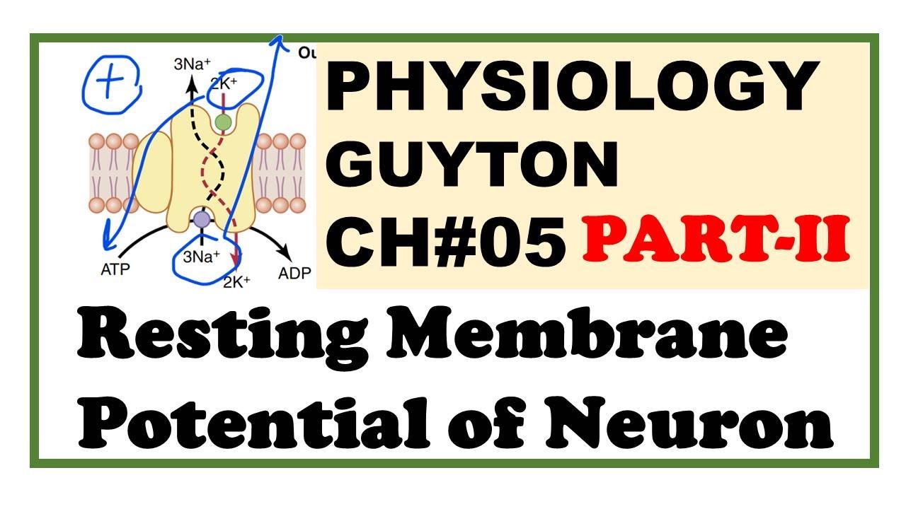 Chapter#5(Part-II) | Resting Membrane Potential | Guyton Physiology | Dr Asif Lectures