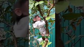 Detik-detik harga diri tertinggal di pohon 😂