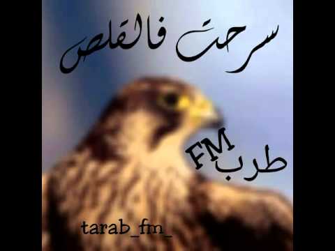 شيله سرحت فالقلص عبدالرحمن آل نجم 