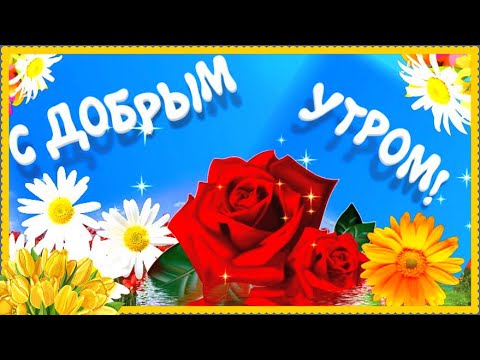 Вставай! Настроение доставай! Одевай свой позитив и смывай весь негатив! Шуточное видео