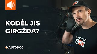 Kaip pakeisti Kaladėlės AUDI A6 Avant (4B5, C5) 2.4 - keitimo patarimai