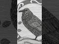 Zeichenprozess: Rabe mit Tuschestiften #drawing #animalart