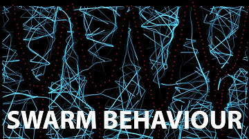 Swarm Behaviour