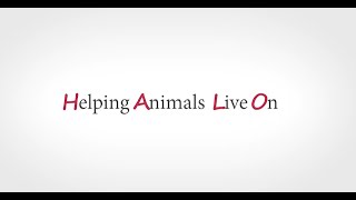 HALO, Helping Animals Live On  Summer 2022