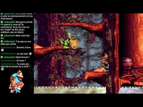 BLAGUES CARAMBAR ! Donkey Kong Country 3 Partie 2 [Let&rsquo;s play FR]