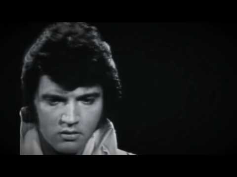 Robbo Elvis Videos On YouTube - YouTube