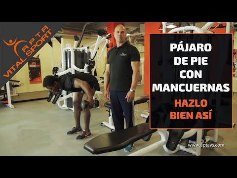 PÁJARO de PIE con MANCUERNAS | ELEVACIONES POSTERIORES