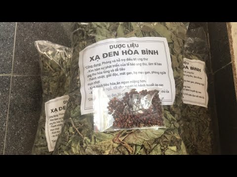 Mua Cây Xạ