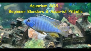 Aquarium SOS : Beginner Blunders & Aquarist Pitfalls #aquarium #freshwateraquarium #aquariumcare