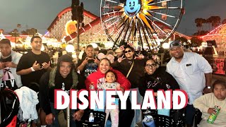 A Day at Disneyland & California Adventures