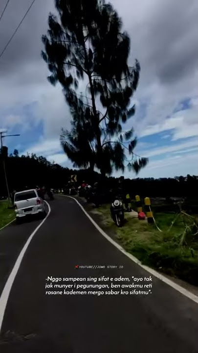 Story wa jawa - Melu aku munyeri gunung, ben ngerti kademen mergo sifatmu seng adem