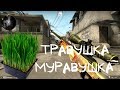 ТРАВУШКА МУРАВУШКА В CS;GO