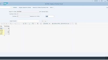 SE16H - Grouping Minimum - Video 3