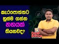 කැරපොත්තන්ට හුස්ම ගන්න නහයක් තියනවද? | Chulan Navodaka | Biosystem Technology | A/L BST