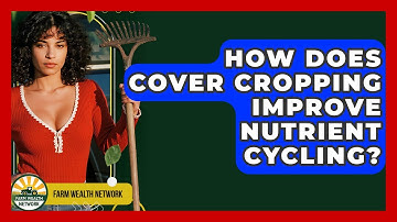 How Does Cover Cropping Improve Nutrient Cycling? - Farm Wealth Network