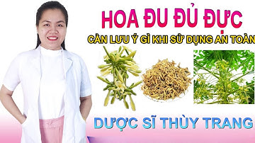 Hoa đu đủ đực có tác dụng gì cho sức khỏe #papaya @duocsitrangnguyen