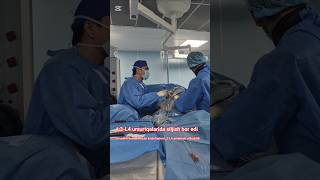 Endofusion L3-L4. MIS TLIF. Umurtqa pog'onasidagi siljishni bartaraf etish. +998974902434 #doctor