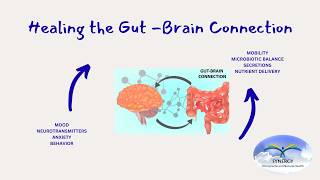 Healing the Gut-Brain Connection 4-23-26