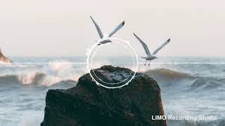 Dan Lebowitz - Catch Up