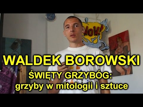 Wideo: Agaric Brazilian Grzyb - Zastosowanie Na Odchudzanie, Właściwości