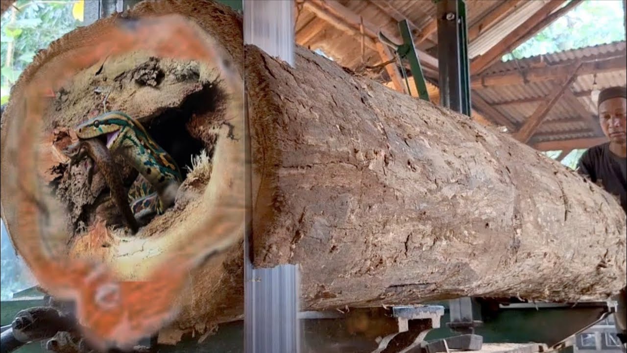 Amazing beautiful teak wood cutting in the sawmill - YouTube