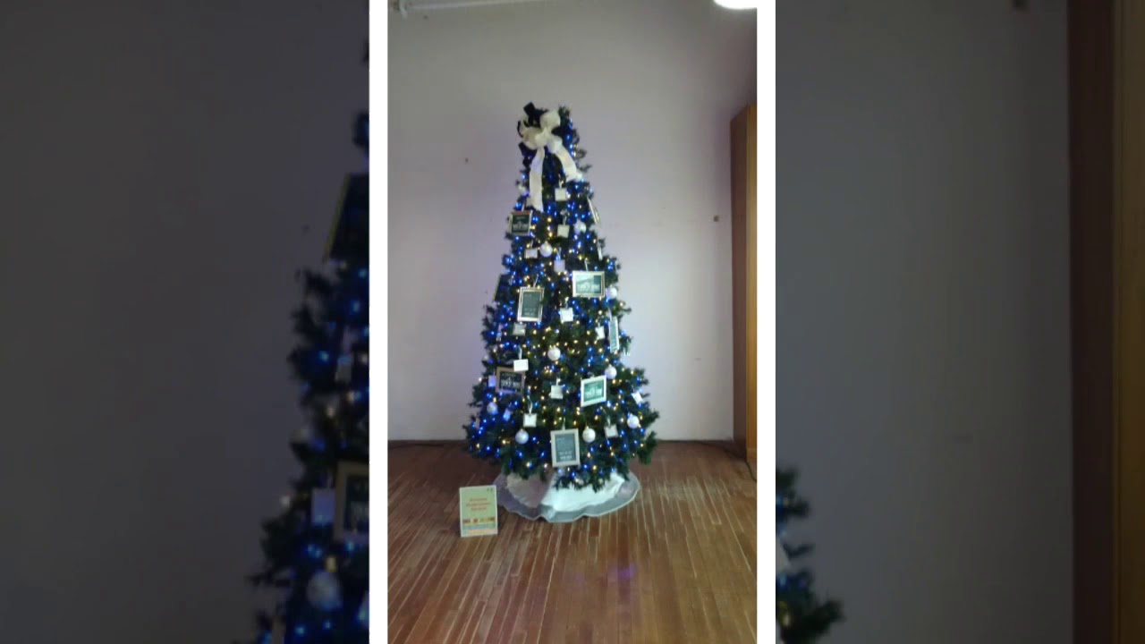 Christmas tree display in Scranton Pennsylvania YouTube