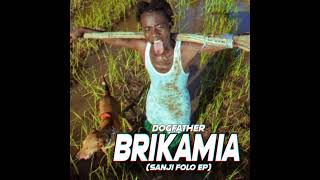 Dogfather - Brikamia (Audio)