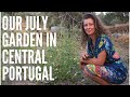 Our July Garden in Central Portugal - What is going well and what is not? - Our Portuguese Homestead