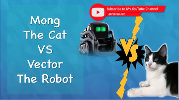 Mong The Cat VS Vector The Robot (Anki Vector)