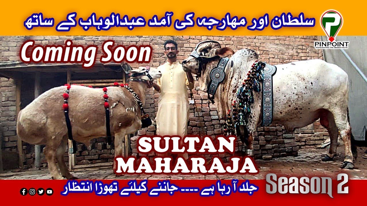 SULTAN and MAHARAJA coming Soon with Abdul Wahab only @pinpoint
