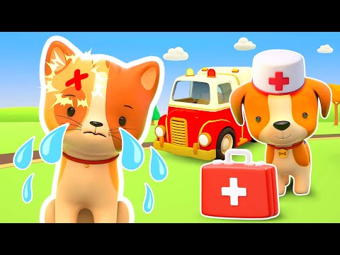 The ambulance is rushing for help! The puppy and a kitten are coming home by taxi.