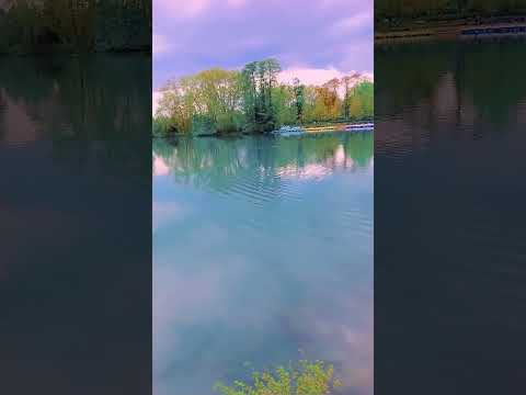 فالأيام تمضي ولا تعود ليس كل صامت غير قادر على الرد هناك من يصمت حتى لا يجرح غيره وهناك يصمت