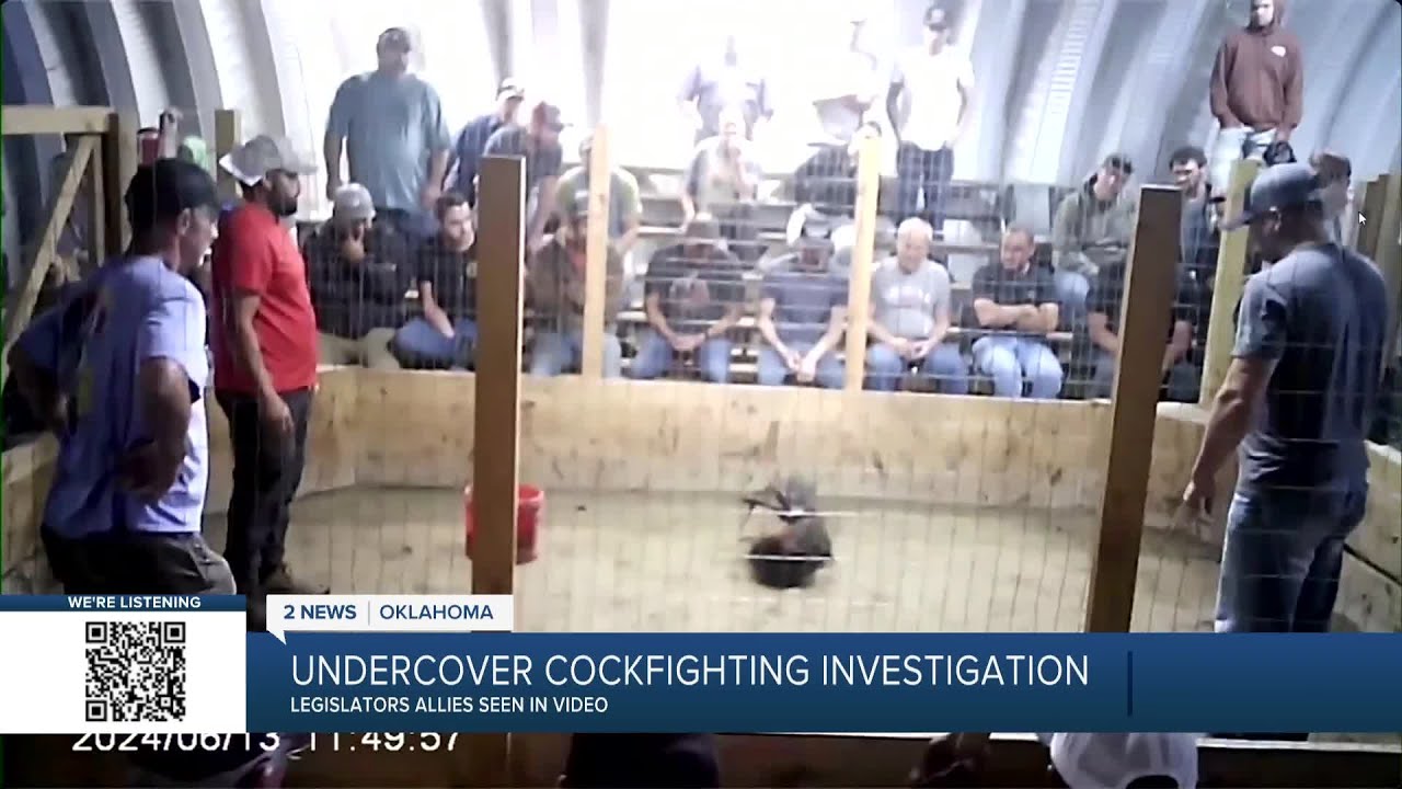 Influential campaign donors on video at McIntosh Co. cockfighting event