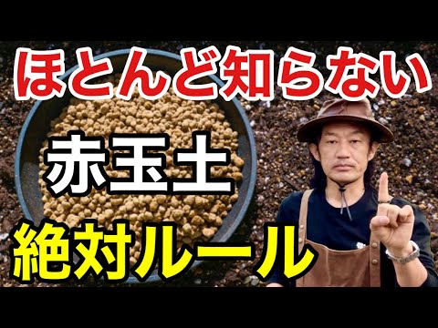 【知らないとやばい】赤玉土の本当の使い方教えます 【カーメン君】【園芸】【ガーデニング】【初心者】 hqdefault
