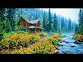 🌼 💦Peaceful Cabin by the River | Nature Sounds, Flowing Water &amp; Relaxing Forest Ambience