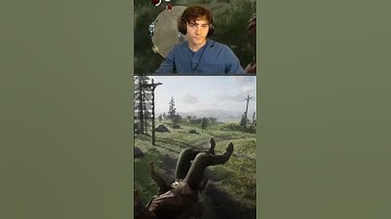 I could not… | RDR2 With Chaos Mod and Crowd Control | Twitch: ChunksterChunkus