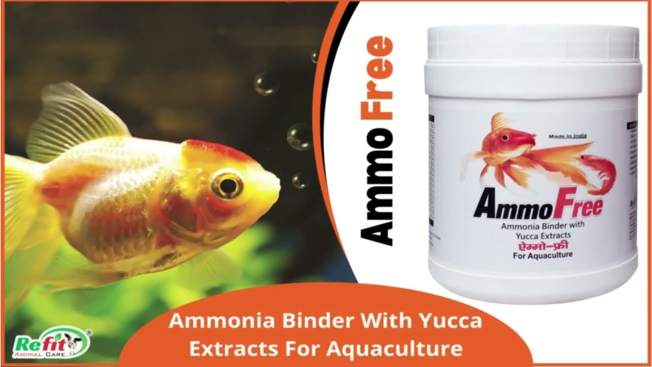 Ammo Free - Ammonia Binder With Yucca Extract for Aquaculture