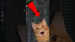 THIS!! is why I won't make a Call of Duty Discord Server Net Worth