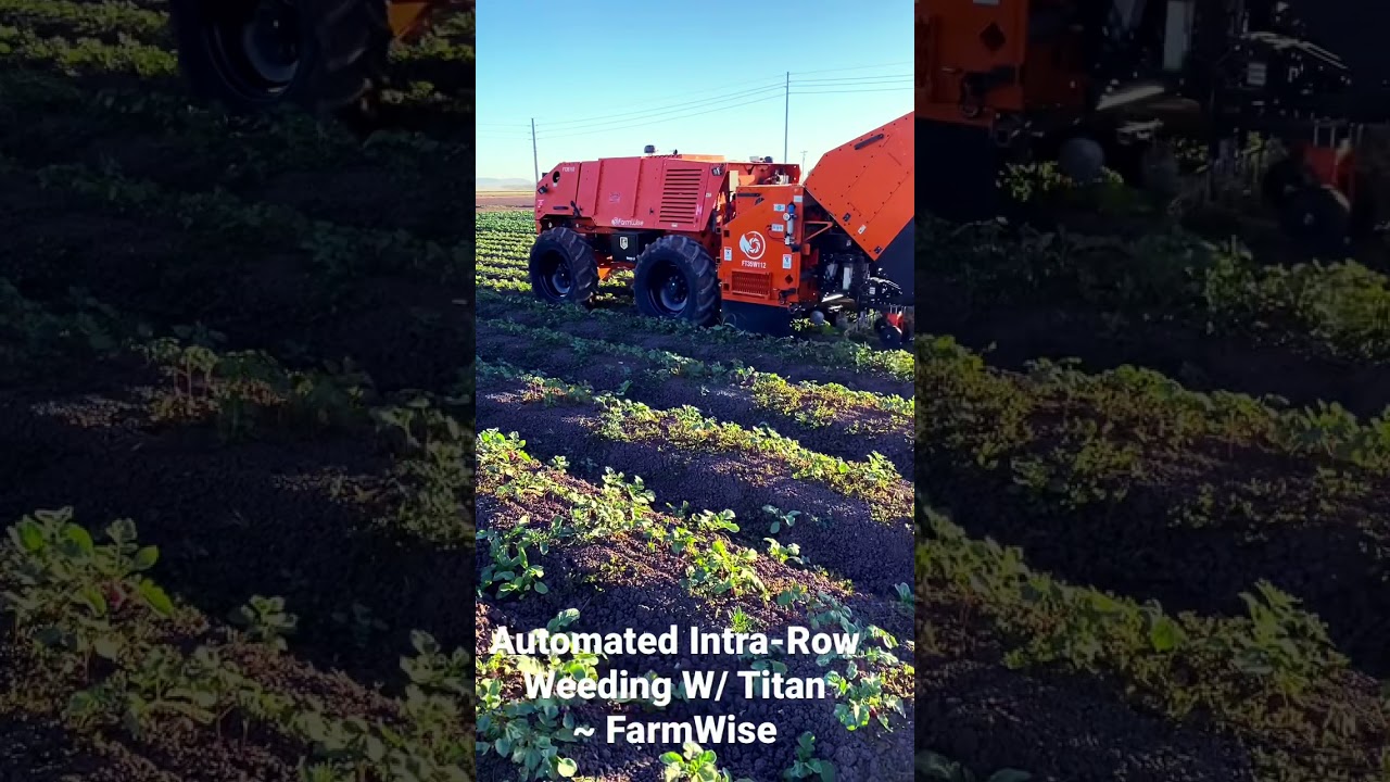 Automated Intra-row Weeding with Titan - FarmWise 