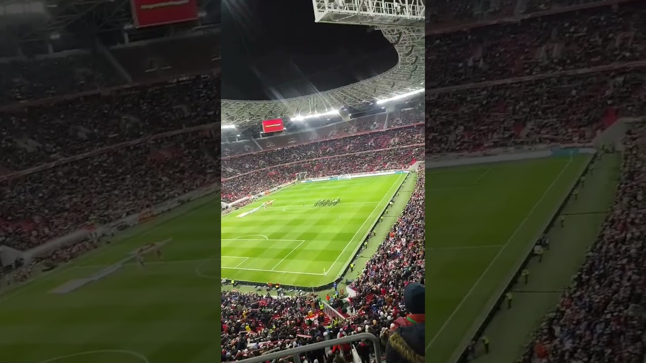 Hungary-Bulgaria EC qualifying 