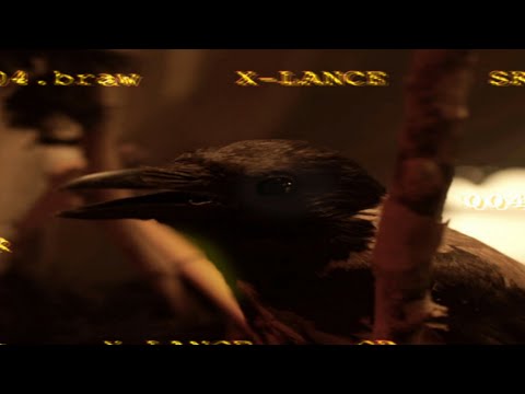 SHAHYN x BASYONI x L5VAV - XLANCE (OFFICIAL MUSIC VIDEO) | شاهين و بسيوني و الفايڤ - اكسلانس