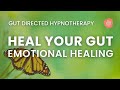 Heal your gut heal your emotions hypnosis for ibs relief  butterfly release