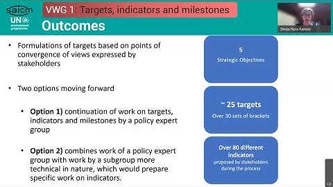 SAICM Virtual Working Groups Process (VWG1)