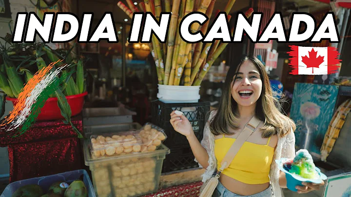 Traveling to India in Toronto, Canada? Must Watch!...