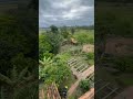 😍❤️💙💛buen día de trabajo con este hermoso paisaje y buena enegia🙂🙂😍