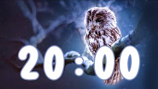 🦉❄️ Winter Timer - 20 Minutes | Owl & Snowfall Ambiance with Alarm ⏰
